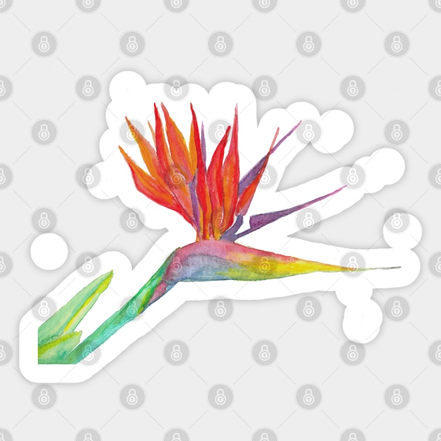 Bird of Paradise Sticker by sunfleur1